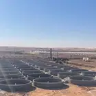 يوجد لدينا للايجار احواض سمك العدد 60 حوض