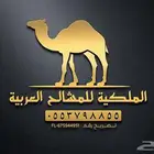 مشالح حساويه فاخره مخفصه