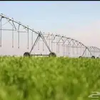 مطلوب مزرعه او ارض خام للايجار في الجله
