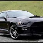 ابحث عن موستنق 2015