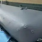 راوية مياة