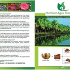 Cocopeat soil for sale only 25 riyal per block