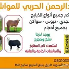 ذبايح حري-نجد-سواكن-نعيمي