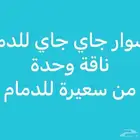 مشوار جاي لدمام ناقة