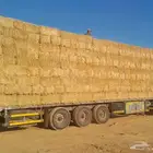 تبن ناعم في نسبة رودس