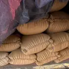 حب خريم العام هذا