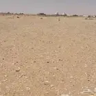 مطلوب ارض او فله او قصر قديم