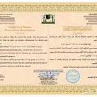 تعليم القراءة والكتابة للأطفال القاعدة المدنية المتون