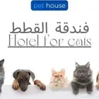 فندقه قطط وحيوانات غيرها