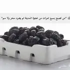 تمر عجوة المدينه المنوره