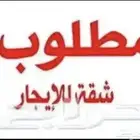 مطلوب شقة غرفتين ايجار غرب الدمام