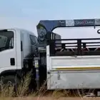 دينا ونش دنا كرين