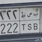 لوحه مميزه للبيع