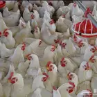 حظاير لاحم للبيع في الرياض