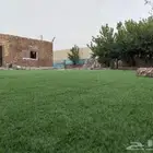 شاليه واستراحه منار بنمره للايجار اليومي