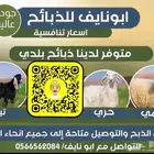 ذبايح ذبيحه نعيم هرفي جبر نعيمي وسط حري هرافي حريات لباني