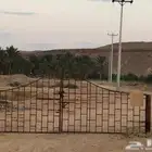 مزرعة للإيجار