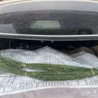 مرخ للحنيذ والمندي