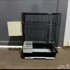 شبكة طيور