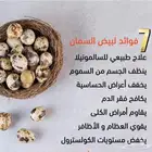 بيض سمان انتاج يومي وسعر يرضي الجميع