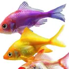 مطلوب اسماك زينه حجم كبير