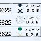 لوحة مميزة معنى وارقام توأم