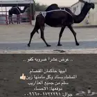 عشاير ضرايب جاهزه للمناخ
