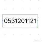 رقم مميز sts