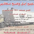 للبيع ابل وضح مغاتير المعدات 9 العدد 142