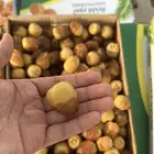 تمر سكري
