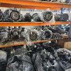 قيرات يابني امريكي صيني يوجد لدينا تمارا وتابي