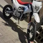 دباب صحراوي