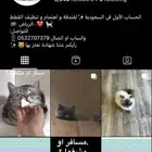فندقة قطط في الرياض 35 ريال لليوم فقط