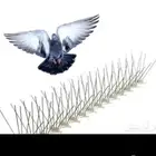 شوك حمام  طارد حمام