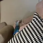 ببغاء اليف روز يناسب الأطفال يجي ع اليد