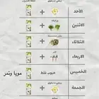 الاشياء اللي اعطيهم طيوري ما شاء الله تبارك الله