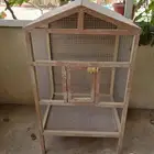 قفص طيور
