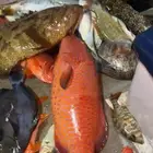 رحلات بحرية الرايس