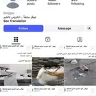 حساب انستقرام تأسيس 2011