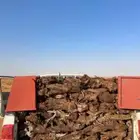 صندوق البيع