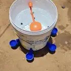 افضل سقيات طيور بشكل عام
