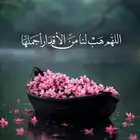 توصيل غداَ طيور جدة مكه جده المدينة