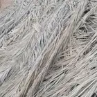 سعف نخيل للبيع