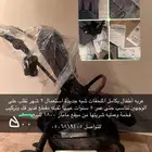 عربه اطفال
