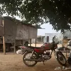 دباب