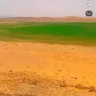 رشاش للايجار 30 هكتار راس كهرب