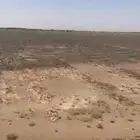 للبيع ارض بصك زراعي حر