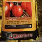 شتلات طماطم وفلفل حار وباذنجان اسود