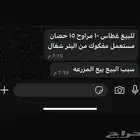 غطاس