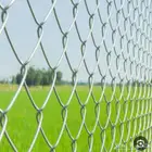 شبك مجلفا  اكثر من 200 متر